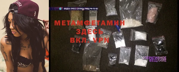 индика Михайловск