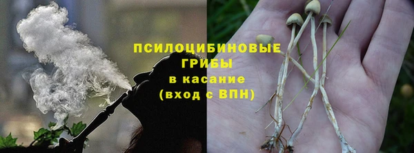сатива Пересвет