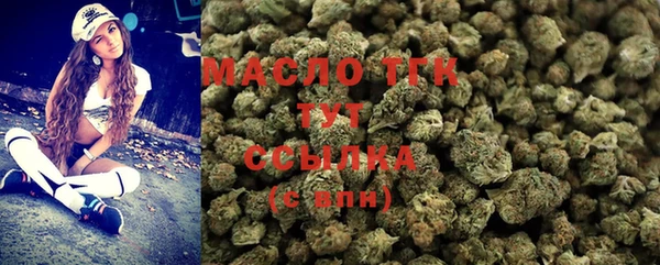 сатива Пересвет