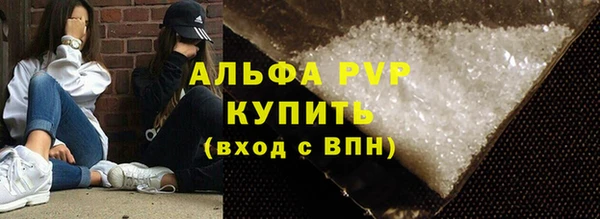 сатива Пересвет