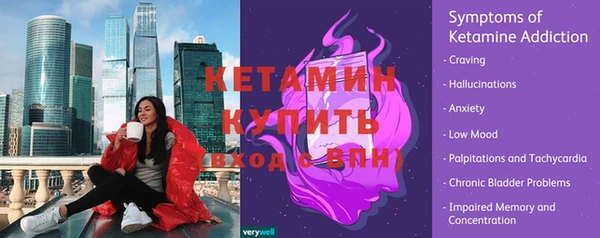 сатива Пересвет