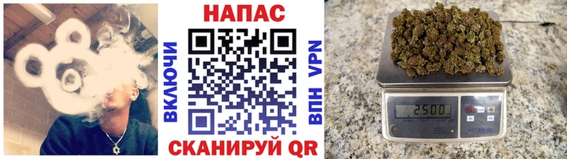 наркошоп  Шахунья  Шишки марихуана планчик 